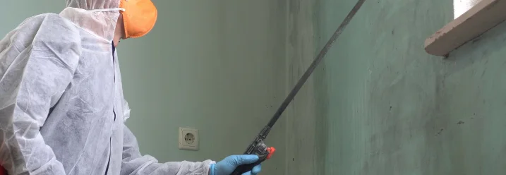 Person baut ein Gartenhaus aus Holz auf